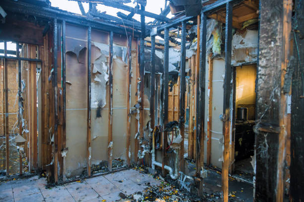 Professional Fire Damage Assessment technician working in Ferndale, WA