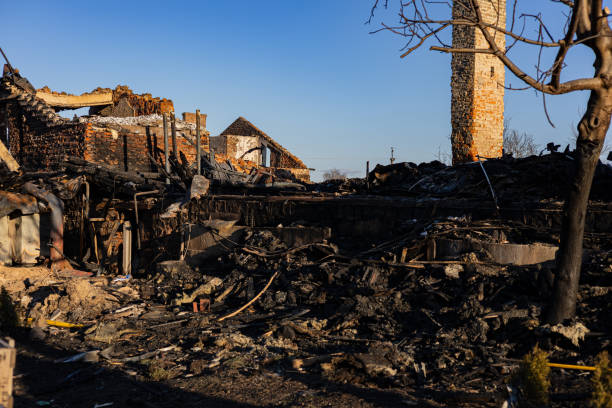 Reliable Fire Damage Assessment contractor in Ferndale, WA by Fire Damage Doption